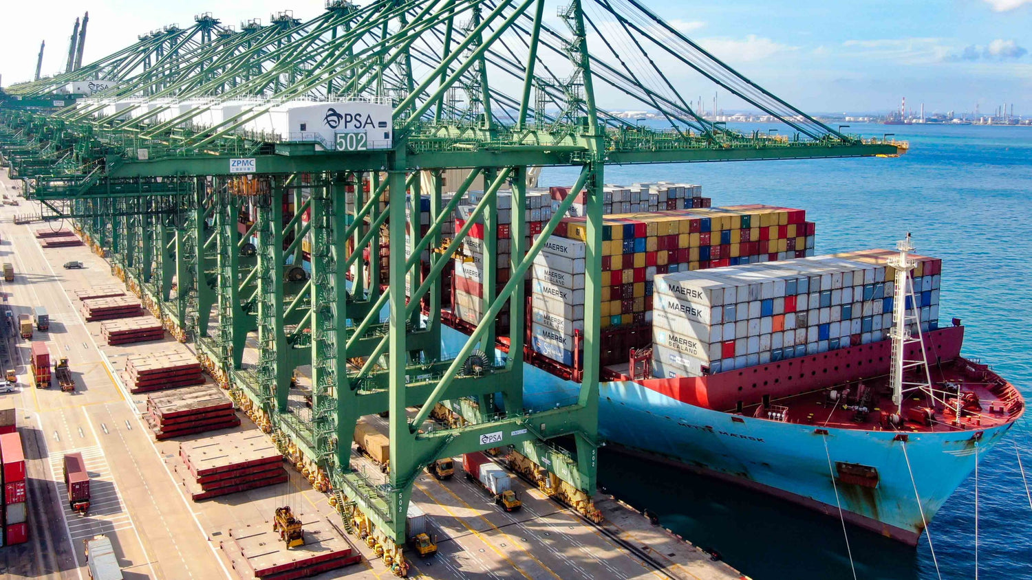 Global leader in biopolymer commercialization and trading.We produce 100% certified biodegradable and compostable replacements for many types of petroleum based plastics. Materials we create are both renewable and sustainable and offer superior end-of-lif